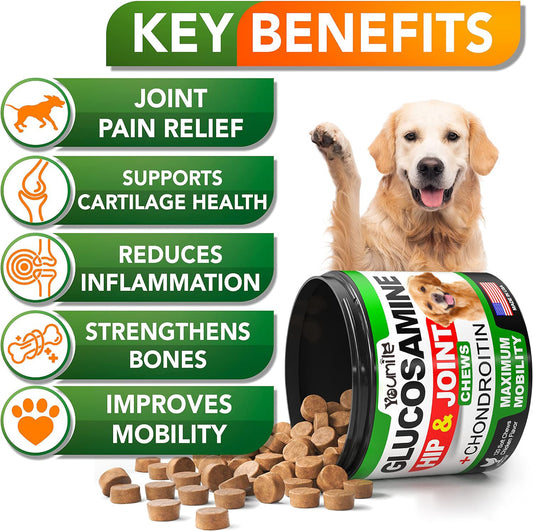 Dogs Glucosamine and Chondroitin  Chews For Hip & Joints