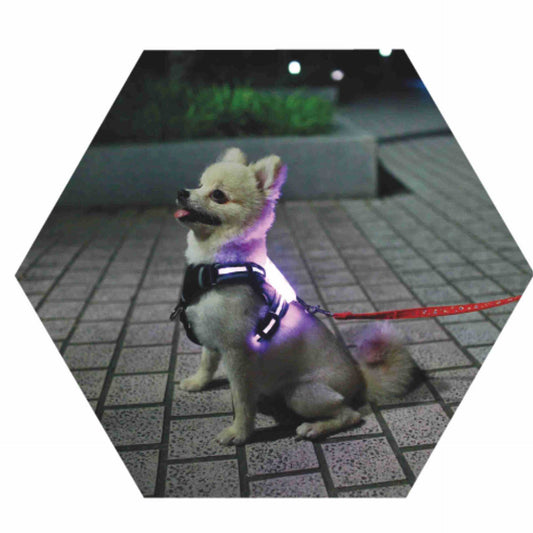 LED Luminous,Anti-car Accident ,Flashing Lights Dog Harness