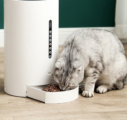 Pets Smart Automatic Food Feeder and Dispenser