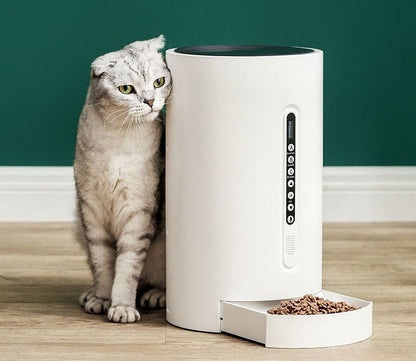 Pets Smart Automatic Food Feeder and Dispenser