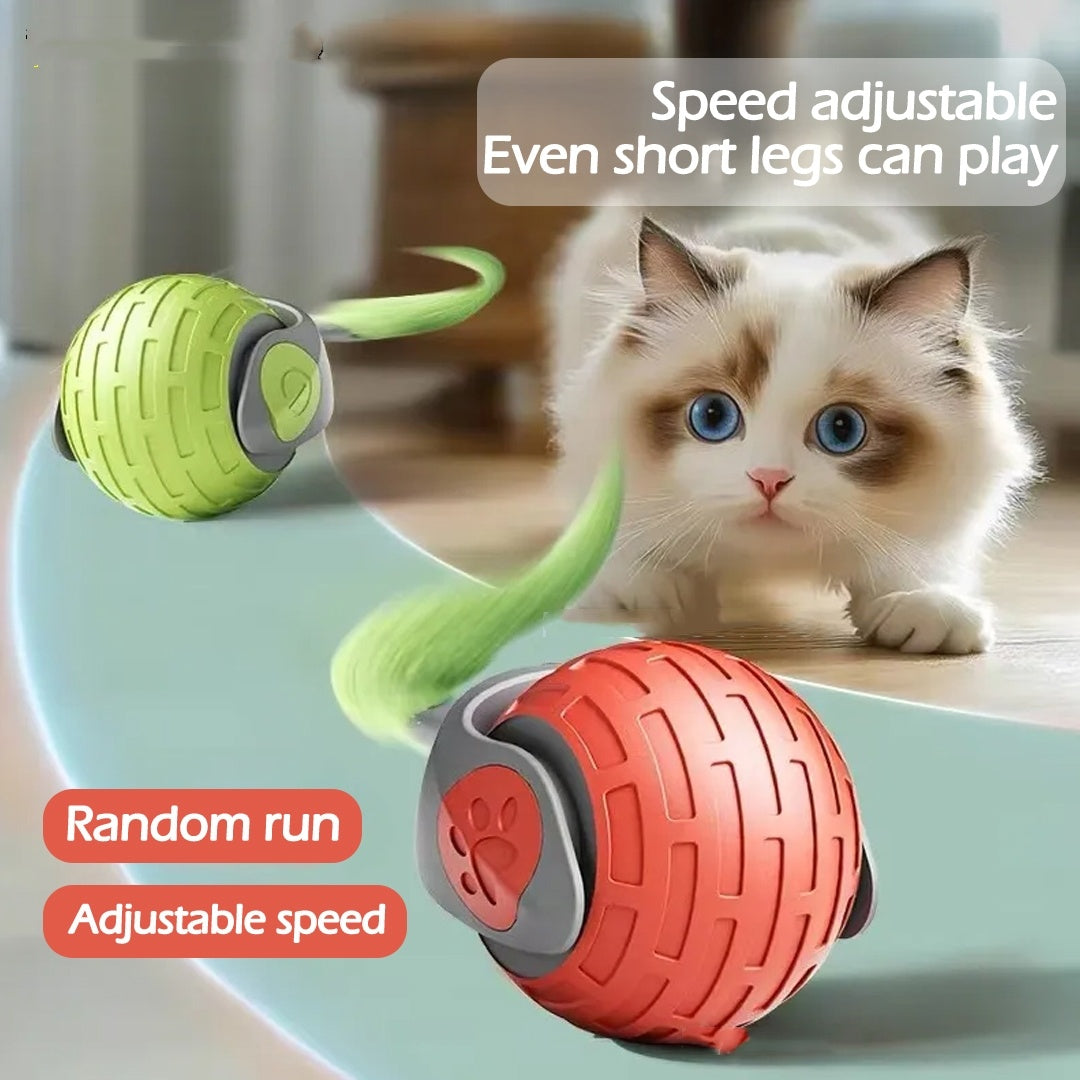 Cats and Kitty Interactive Rolling Ball Toy