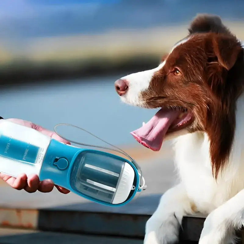 Three-in-one Portable Pets Water Bottle