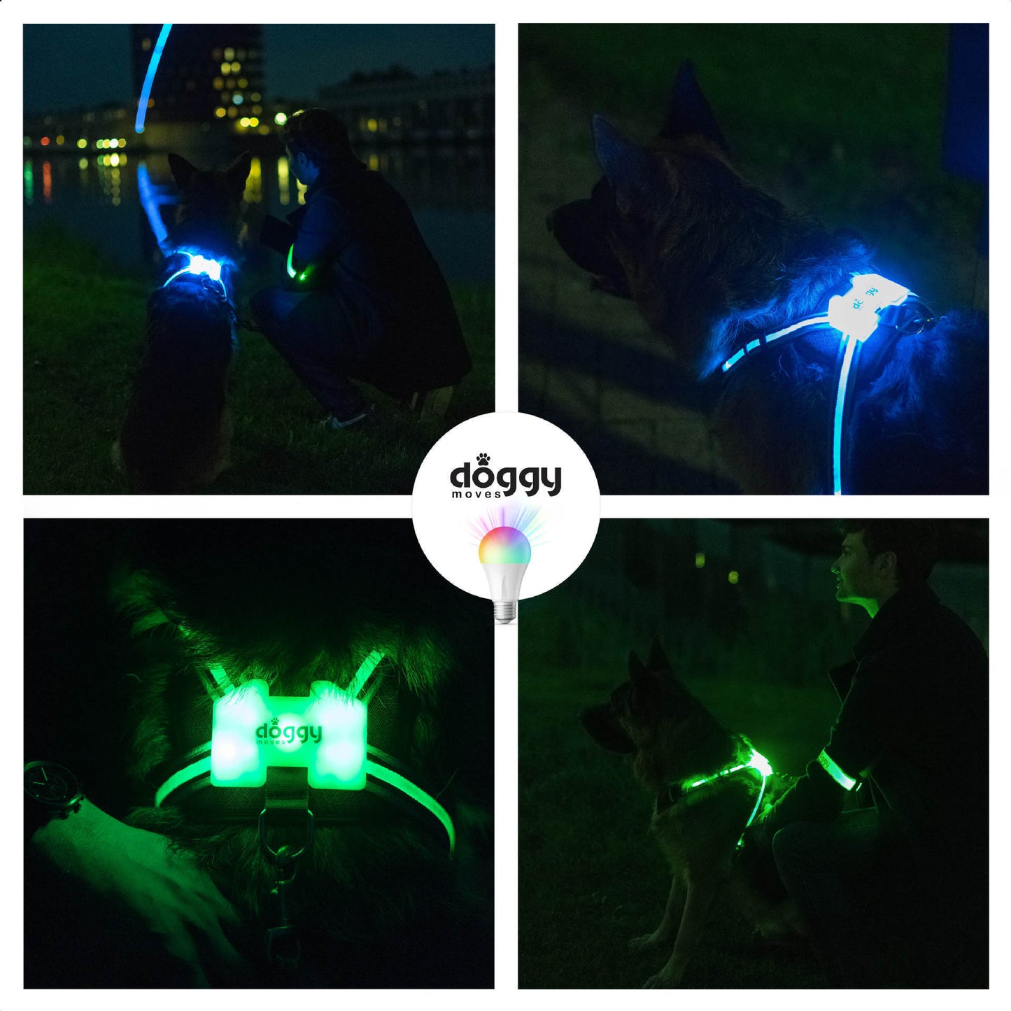 LED Luminous,Anti-car Accident ,Flashing Lights Dog Harness