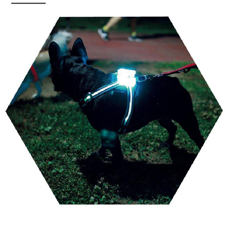 LED Luminous,Anti-car Accident ,Flashing Lights Dog Harness