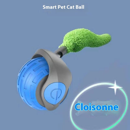 Eco- Friendly Cats Rolling Balls Toy