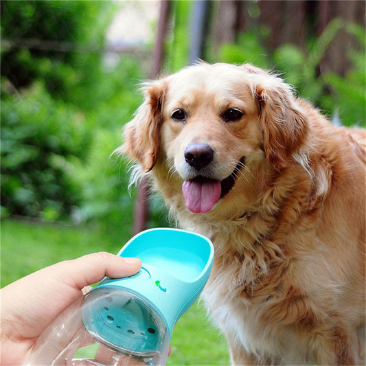 Pets Portable Outdoor Water Bottle