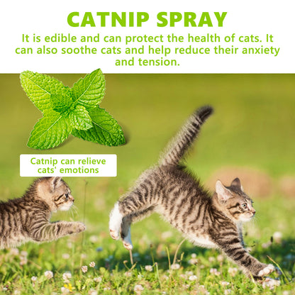 Cats health care Spray, Relieves Cat Anxiety And Enhances Vitality