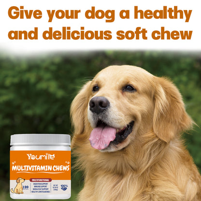 Dogs multivitamin Health Care Chews