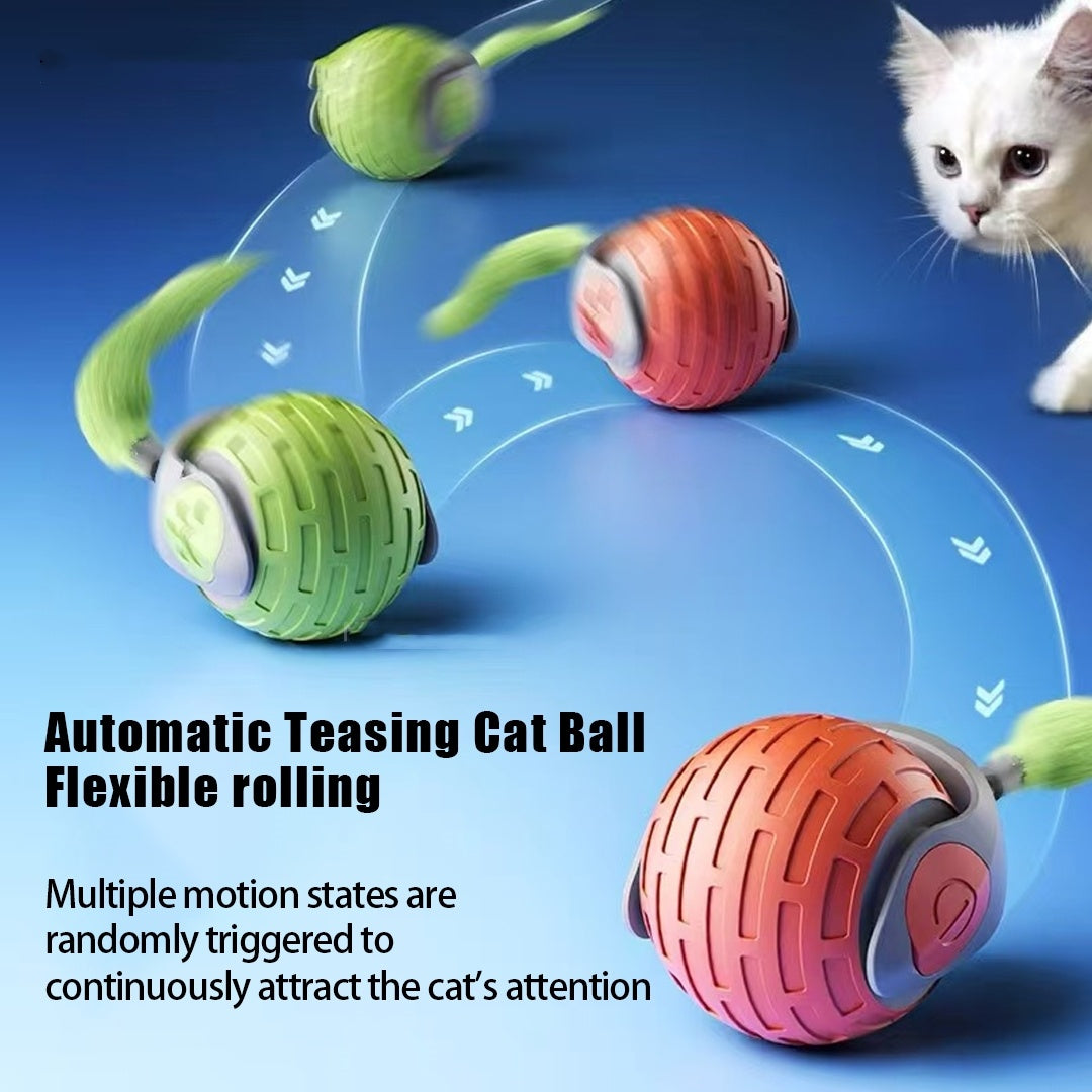 Cats and Kitty Interactive Rolling Ball Toy