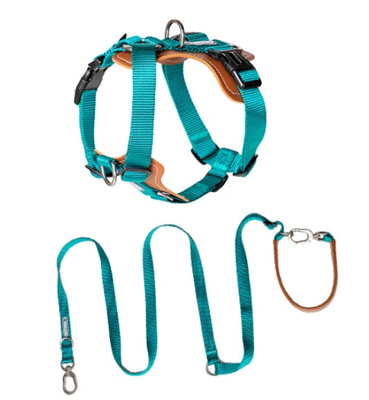 Hands Free Leather Chest Strap Dogs Leash