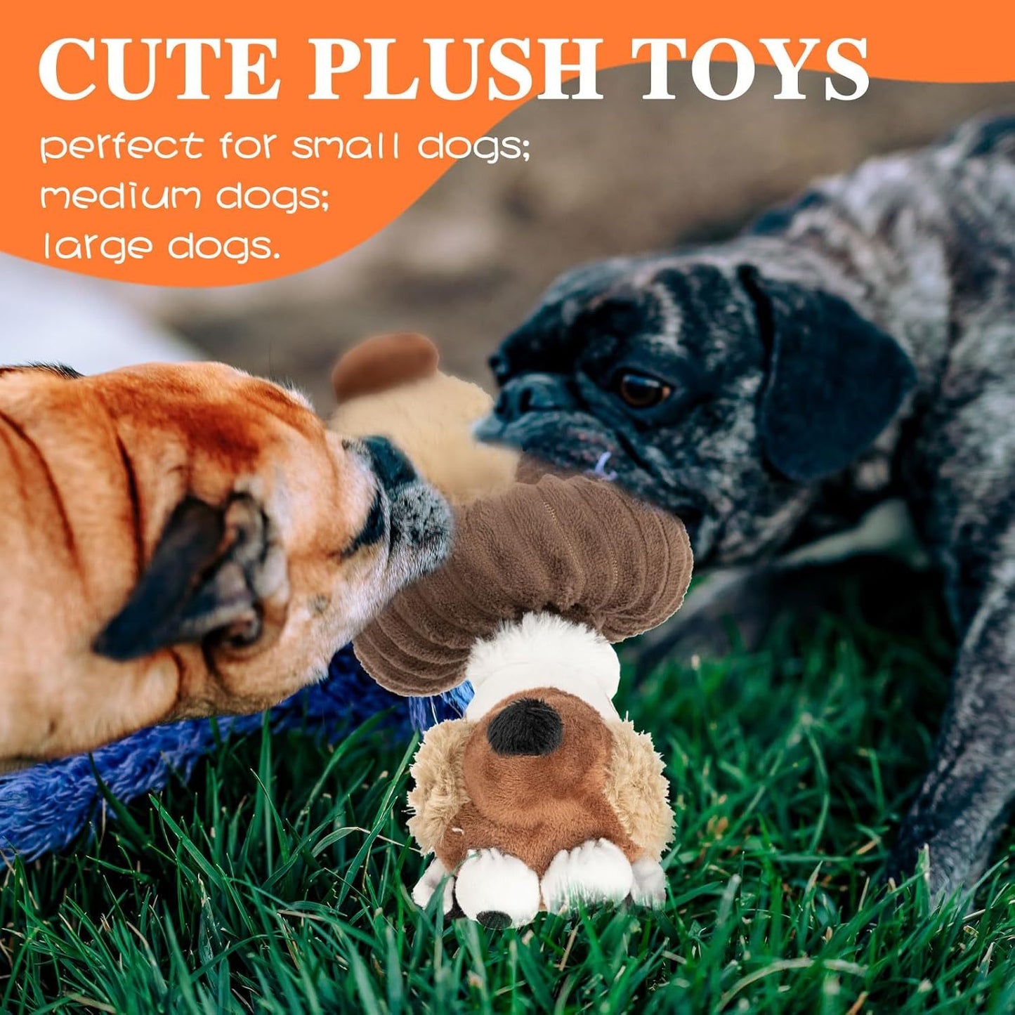 Squeaky Plush Dog Toys