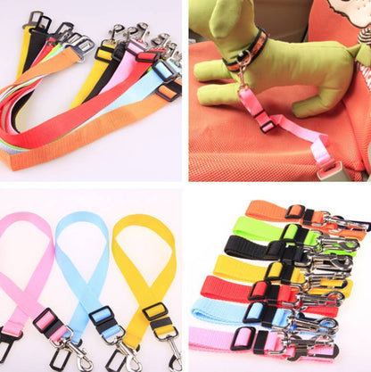 Fixed Strap Polyester Traction Belts For Dogs Collars & Harnesses