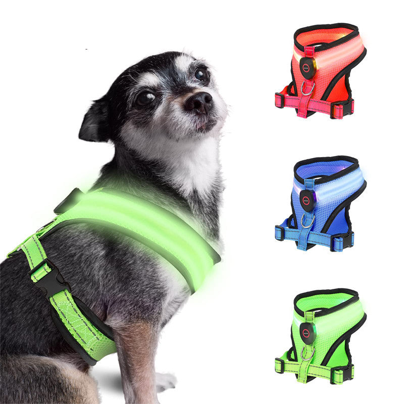 USB Rechargeable LED Dog Harness