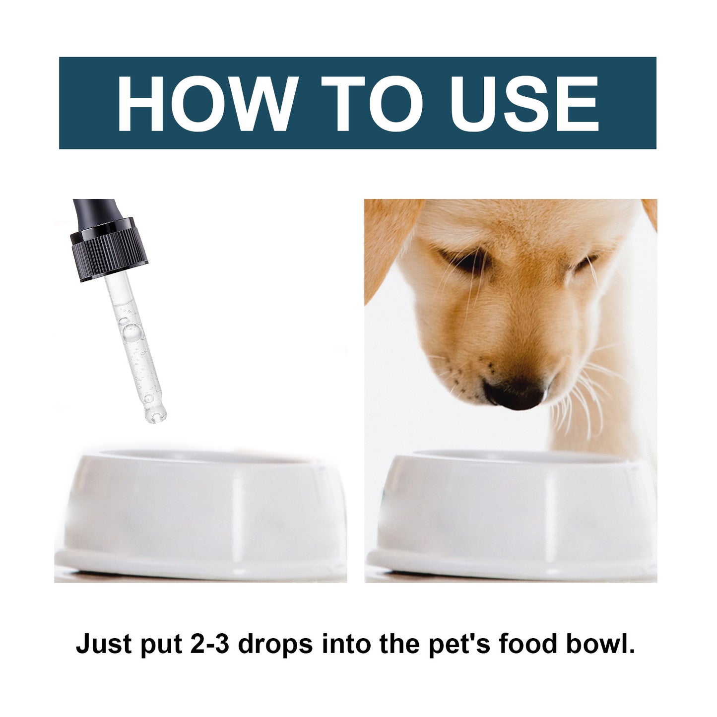 Cats And Dogs, Immune Health Care Oral Drops