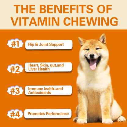 Dogs multivitamin Health Care Chews