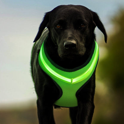 LED Luminous Flashing  Dog Harness