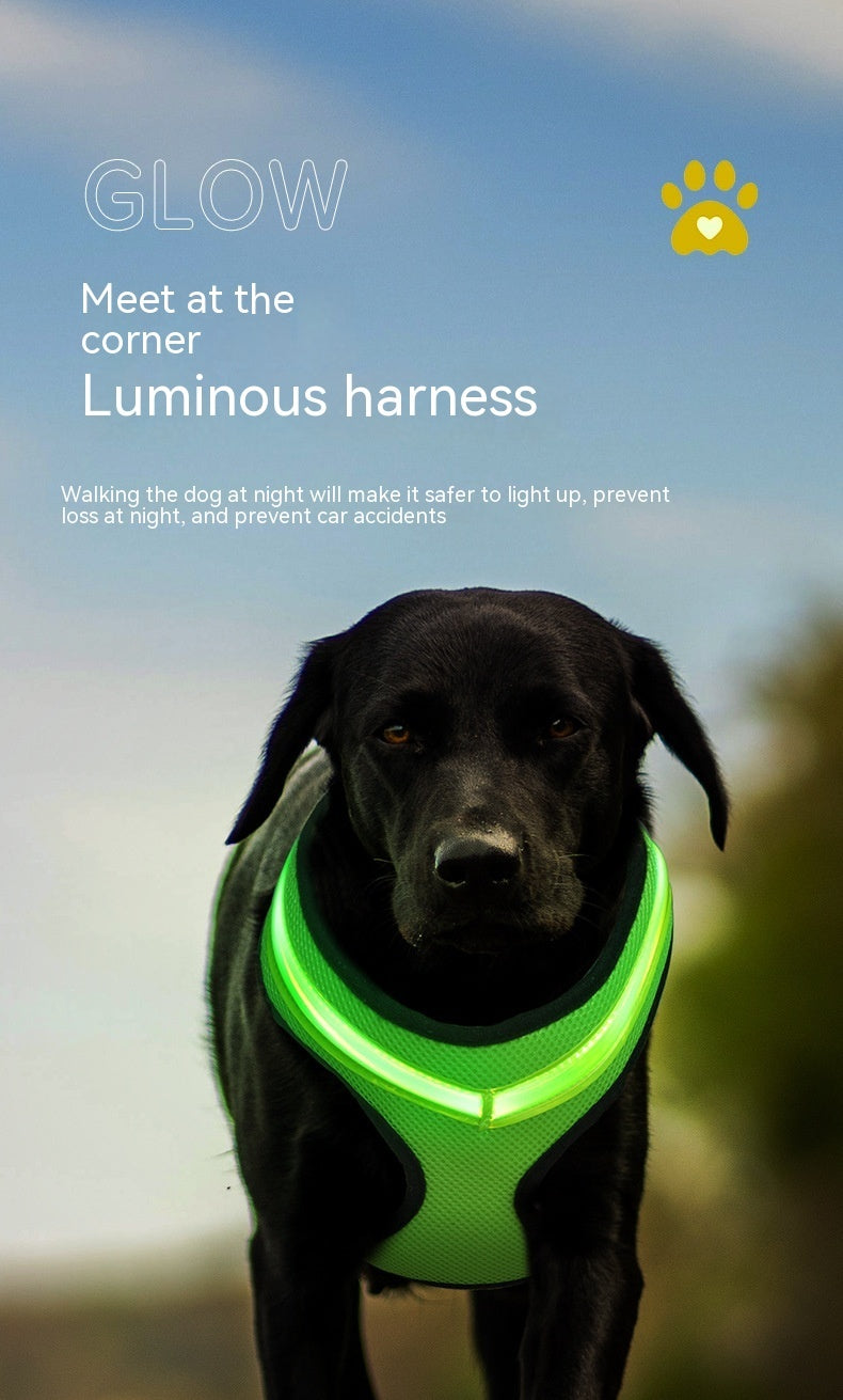 LED Luminous Flashing  Dog Harness