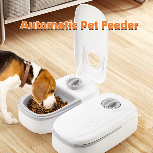 Cats and Dogs Automatic Feeder