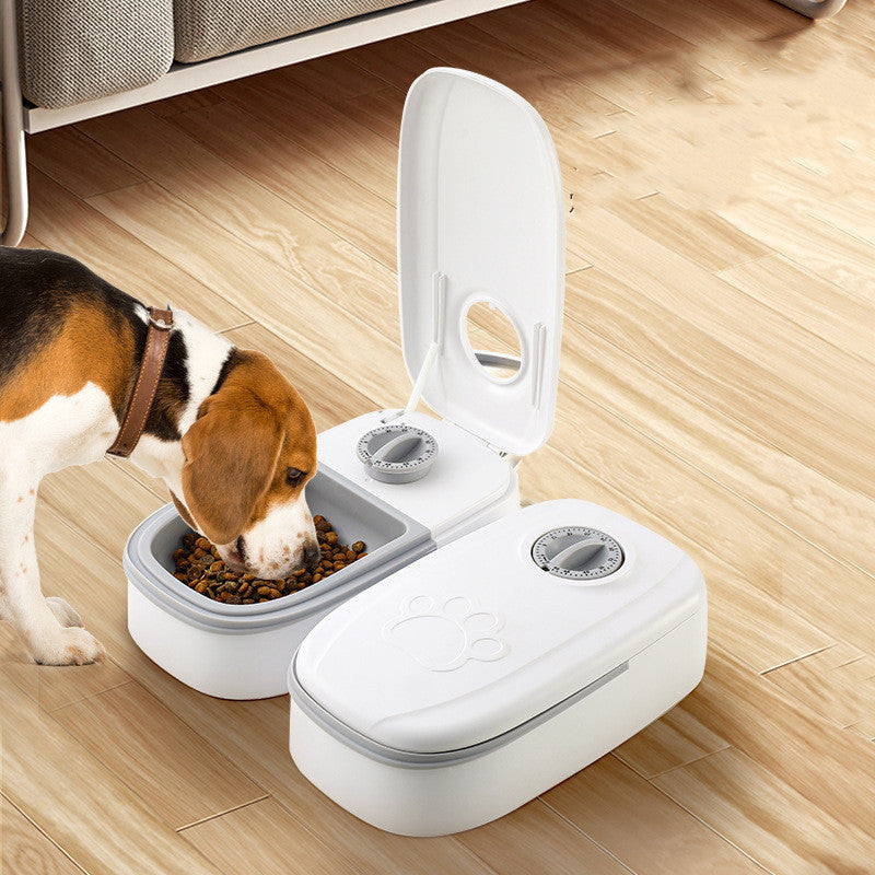 Cats and Dogs Automatic Feeder